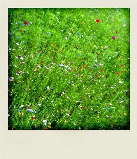 Idée weekend : Le Clos des Vignes, maison d’hôtes de charme
