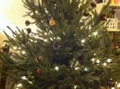 beau sapin, forêts.Épisode