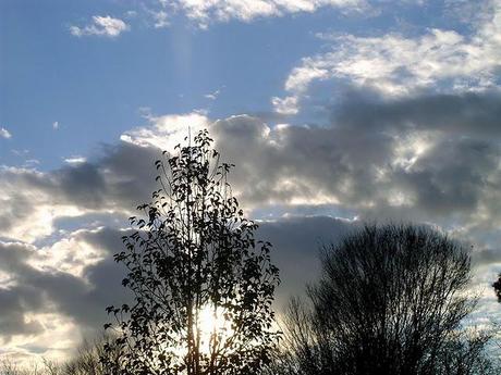 habillage trois  effets