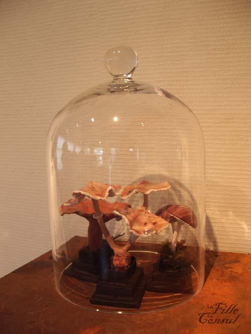 Quelques images de l'exposition qui se tenait le week-end...