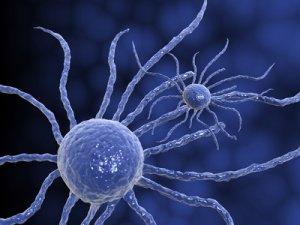 Georges Fenech sait-il qu'il y a grandement + de substances carcinogènes que de sectes ?