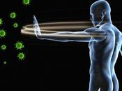 Comment amplifier systéme immunitaire