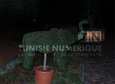 Galerie photos: Le jardin importé de Mohamed Zine El Abidine Ben Ali