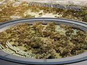 futur campus Cupertino images!