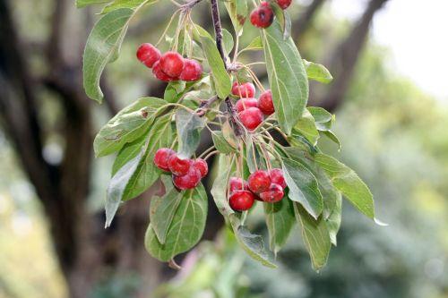 2 malus hup paris 6 oct 019.jpg