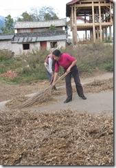 Yunnan2011_0946