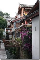 Yunnan2011_1021