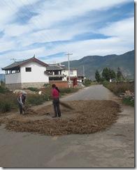 Yunnan2011_0947