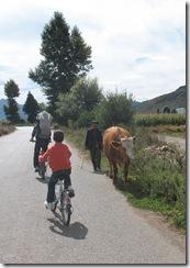 Yunnan2011_0936