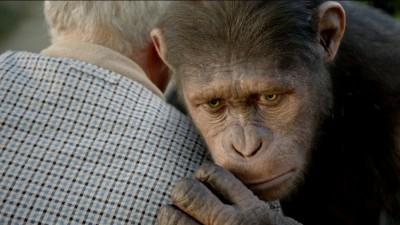 [ Critique DVD]  La planète des singes : les origines