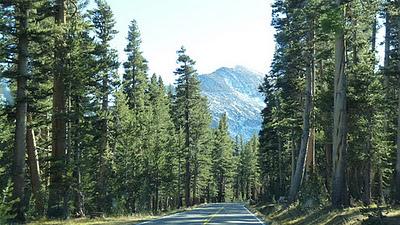 Yosemite National Park: 1° journée