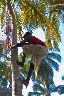 Monter dans les rideaux