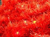 Noel... j'aime toujours