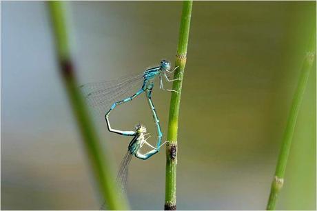 Critique cinéma : La Clé des Champs