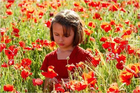 Critique cinéma : La Clé des Champs