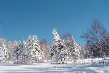 Une photo pour « un regard sur l’Auvergne »