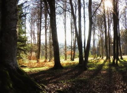 Une photo pour « un regard sur l’Auvergne »