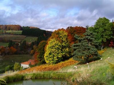 Une photo pour « un regard sur l’Auvergne »
