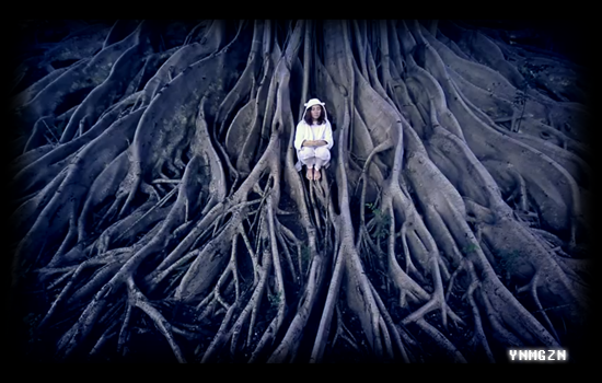 Young Magic: “Sparkly » [Video]