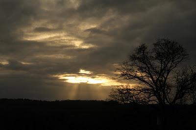 Sous le ciel de Sion