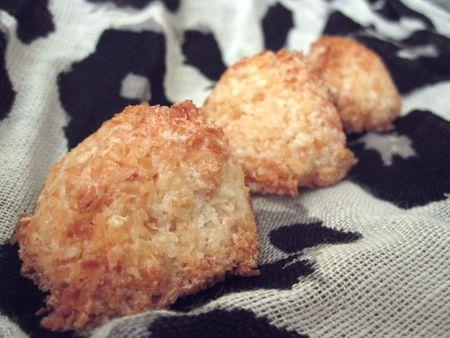 buche et désert 053