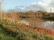 bord Lys, Belgique, qu'il fait marcher...