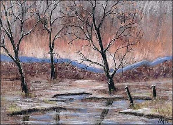 ALISON LAPPER, une leçon de vie !