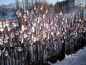 Des sites coréens à visiter en hiver 평창