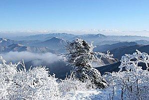 Des sites coréens à visiter en hiver 태백산