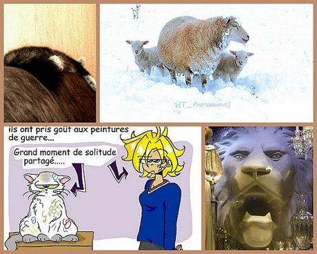 Instant T. #13# INSTANT T 12 (6)