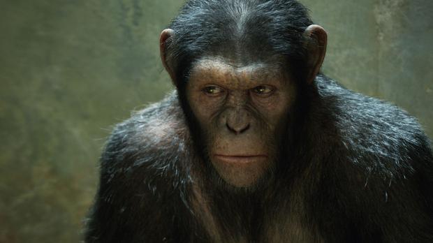 [iTunes]''La Planète des singes : les origines'' à l'achat ou à la location...