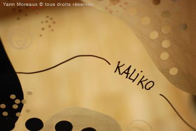 Kaliko : De l’autre côté du miroir…