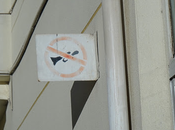 habitudes bonheur -Tibet octobre 2011