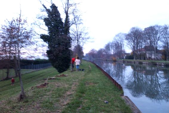 Les planteurs du canal