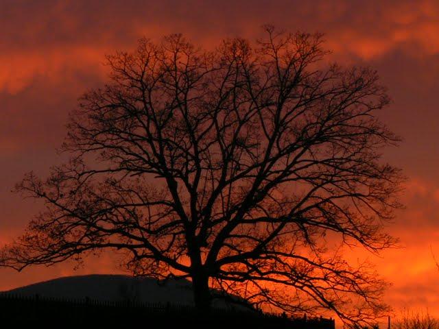 J'ai Survecu Au Travail de Nuit