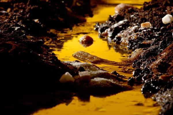 PHOTOGRAPHIE : JULIEN L'EXCELLENT