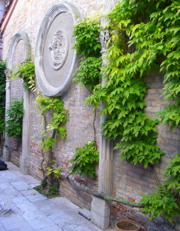 Les Jardins de la Maison FORTUNY à la Giudecca