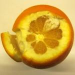 La Recette du cahier de Mélody : des orangettes confites