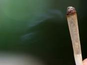 Faut-il légaliser cannabis France