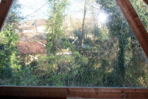 1 palmensis blog 12 déc 2011 pa 005.jpg