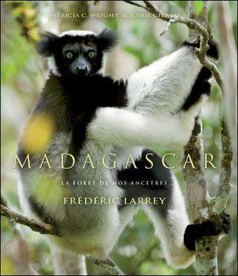 FAUNE DE MADAGASCAR
