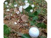 [exercice] histoire (courte) balles trous