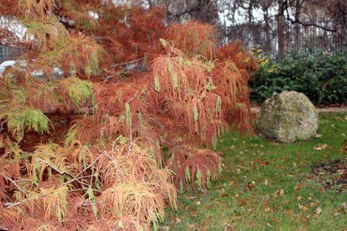 paris 4 déc 2011 145.jpg