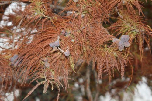 paris 4 déc 2011 150.jpg