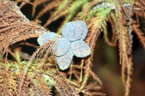 paris 4 déc 2011 148.jpg