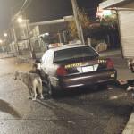 OUAT_S01E07_Stills58