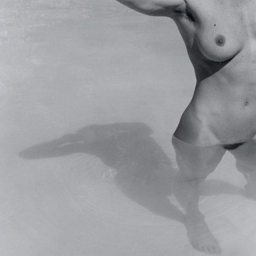 MAPPLETHORPE VU PAR SOFIA COPPOLA