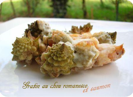gratin romanesco saumon (scrap2)