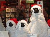 Nice revêt habits fête