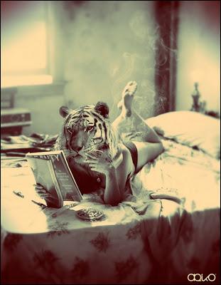 Insolite session!  //